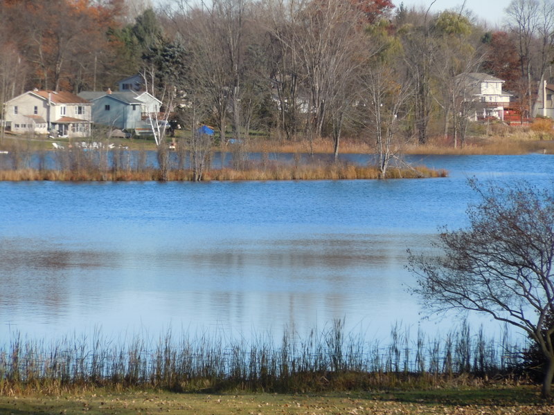 Bitten Lake Hartland Homes For Sale Twp Michigan